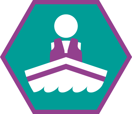 Insigne Bemanningslid Niveau 3