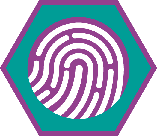 Insigne Identiteit Niveau 3