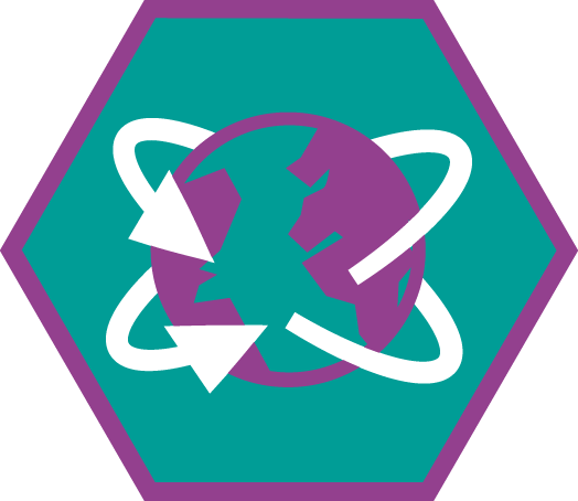 Insigne Internationaal Niveau 3