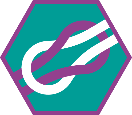 Insigne Knopen Niveau 3