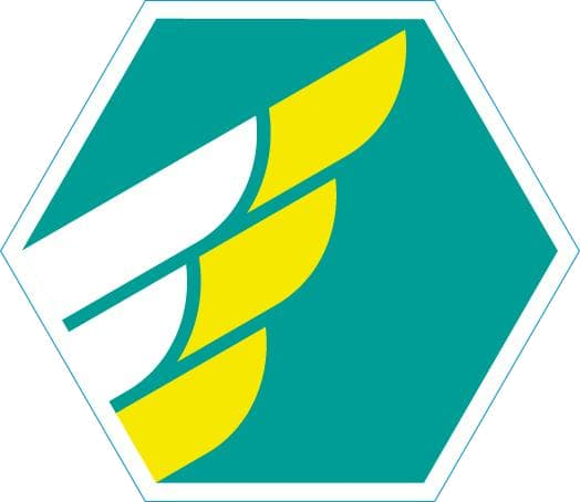 Insigne Lucht Niveau 1