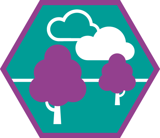 Insigne Natuur & Buitenleven Niveau 3