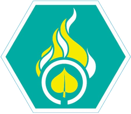 Insigne Vredeslicht Niveau 1