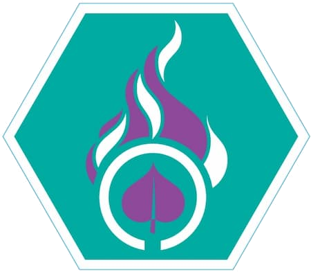 Insigne Vredeslicht Niveau 3